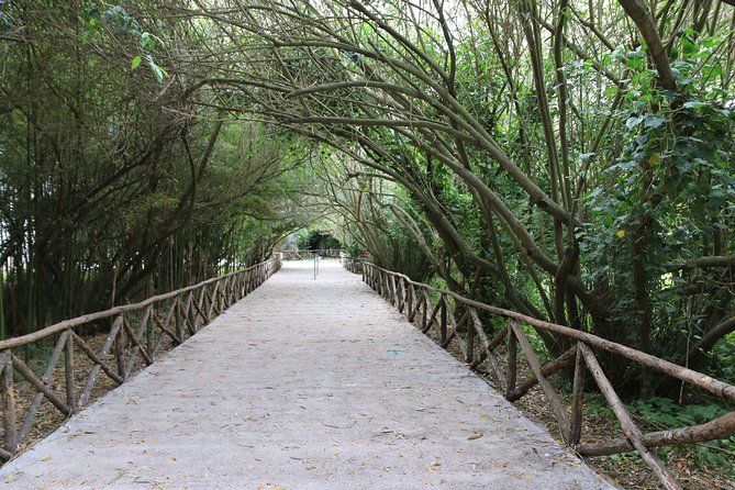 Group guided tour of the archaeological park of Neapolis - What the 90-minute schedule feels like