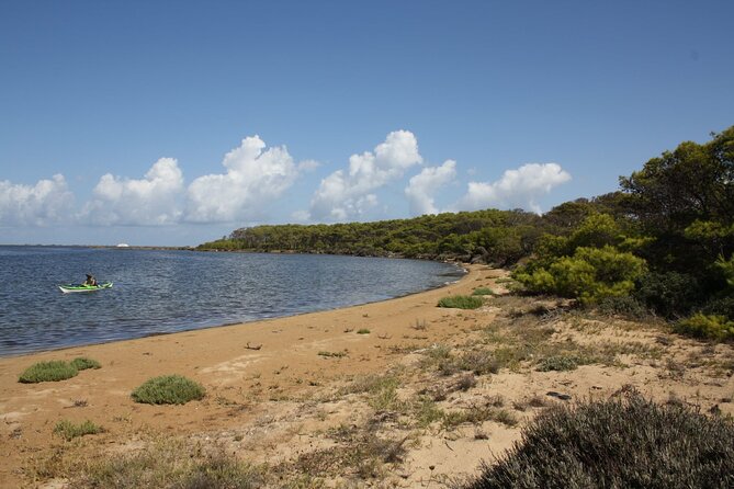 Guided kayak tour inside the Stagnone of Marsala - Why the Stagnone Reserve makes a fine kayak setting