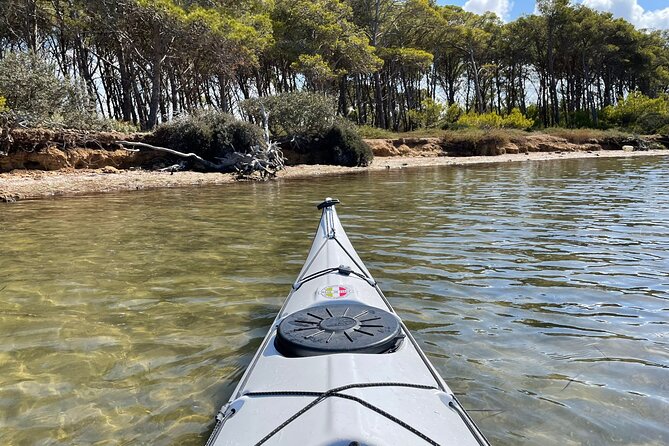 Guided kayak tour inside the Stagnone of Marsala - Who will enjoy this most