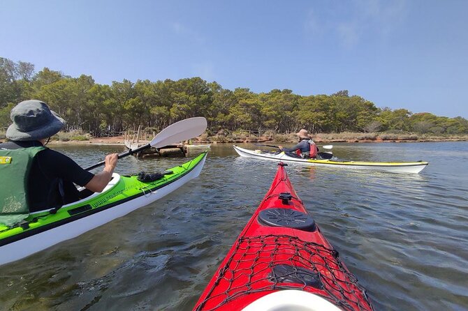 Guided kayak tour inside the Stagnone of Marsala - Starting at 8:30 am and getting ready