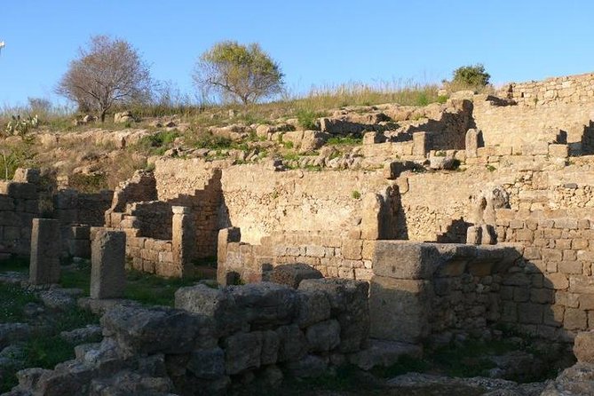 Guided Tour in Morgantina. Visit Morgantina. - Is one hour enough for Morgantina?