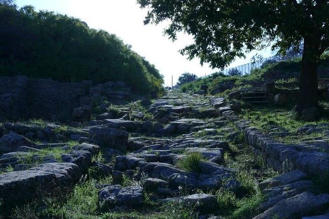 Guided Tour in Morgantina. Visit Morgantina. - Tickets, timing, and what you actually pay