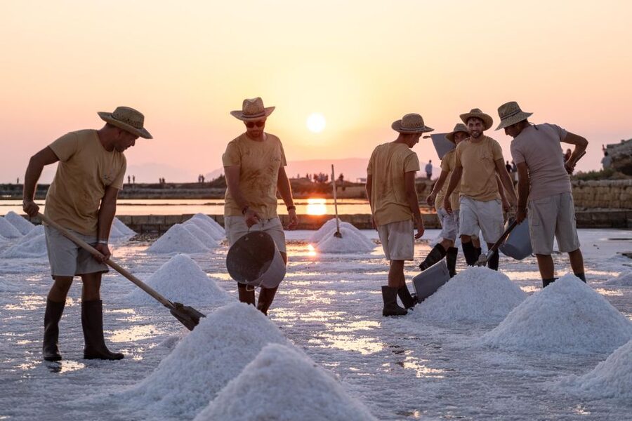 Guided tour of the Trapani Salt Pans and Salt Museum - Key points to know before you book