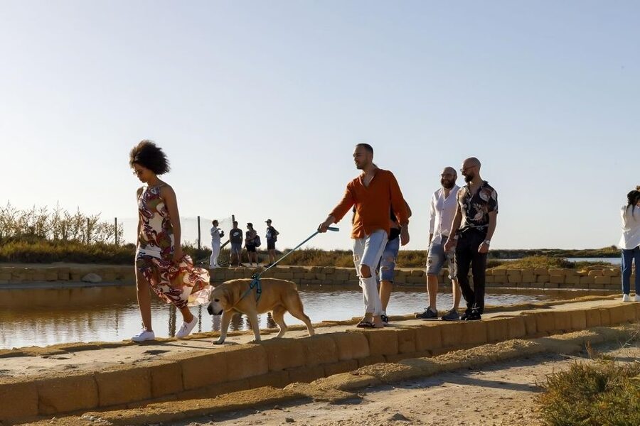 Guided tour of the Trapani Salt Pans and Salt Museum - Is $21 a fair price?
