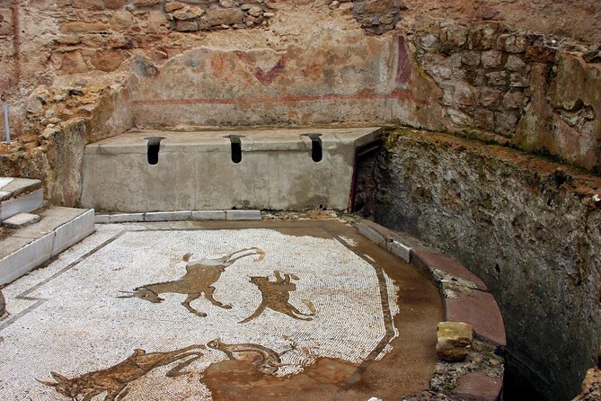 Guided tour of Villa Romana del Casale with skip the line - Meeting the guide at 10 a.m.