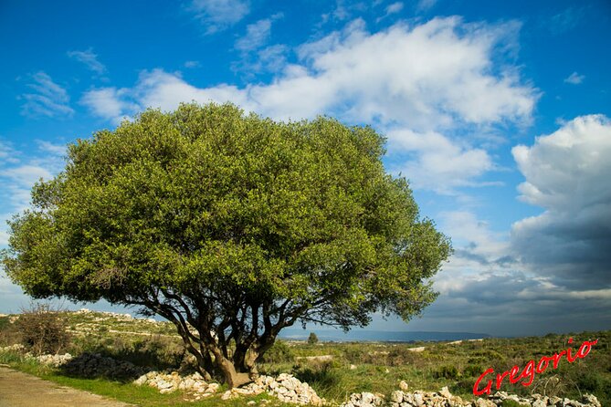 Guided Trekking to Cavagrande del Cassibile in Sicily - Who will enjoy this outing most