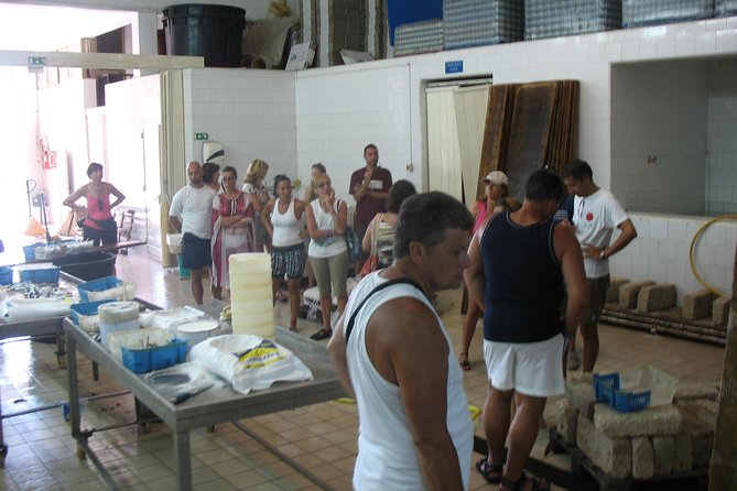 HALF DAY excursion - Marzamemi and Capo Passero by Boat - Marzamemi first, then Sicily’s far southeastern tip