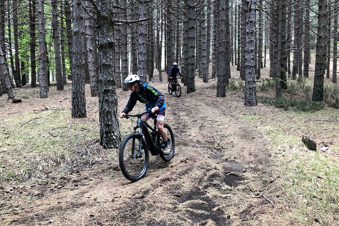 Half Day Tour to discover Etna by E-Mtb - What the $113 price buys you