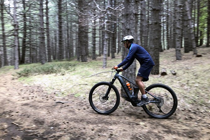 Half Day Tour to discover Etna by E-Mtb - Should you book this Etna e-MTB tour?