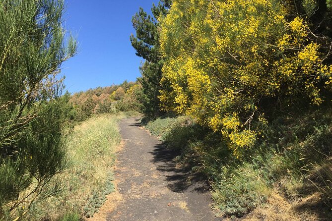 Half day Trekking Tour on Etna - Exploring a lava cave with helmets and torches