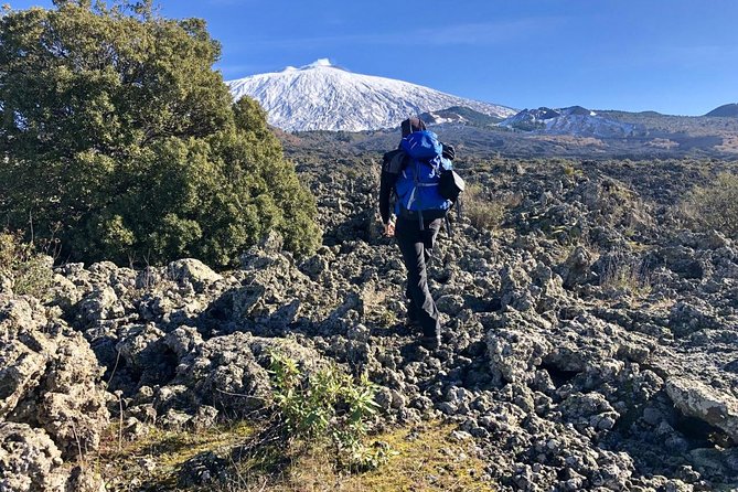 Half or full day trekking on Etna with private guide - A Sicilian Tasting After the Hike