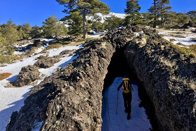 Half or full day trekking on Etna with private guide - Is the Price Fair for What You Get?