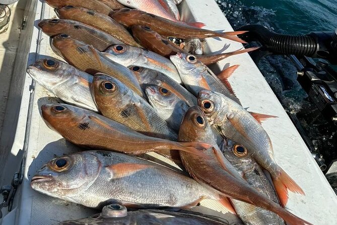 Half-seabed or rod fishing tour with bolentino - Sea caves and the northern Syracuse coast