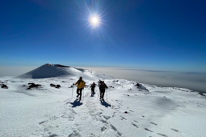 Hike near the summit craters up to the maximum safe altitude currently foreseen - Crossing lava fields and older craters