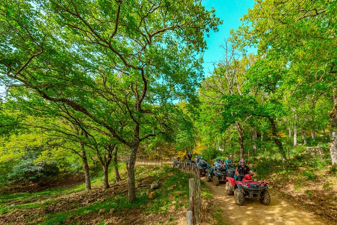 Hike on the trails of the ancient shepherds - 4h - Quad/ATV - Is the $240.96 group price good value?