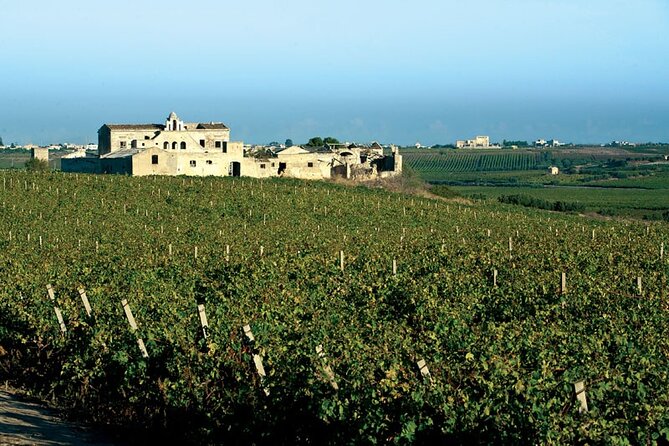 Historic winery visit with food and wine tasting in Marsala - Learning about Marsala wine and production