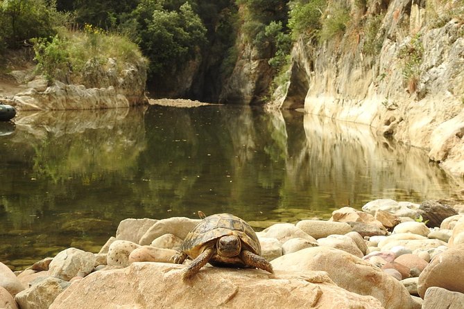 Inflatable boat excursion Gole di Tiberio on the Madonie near Cefalù - Fossils, Nests, and the Quiet Side of the Madonie