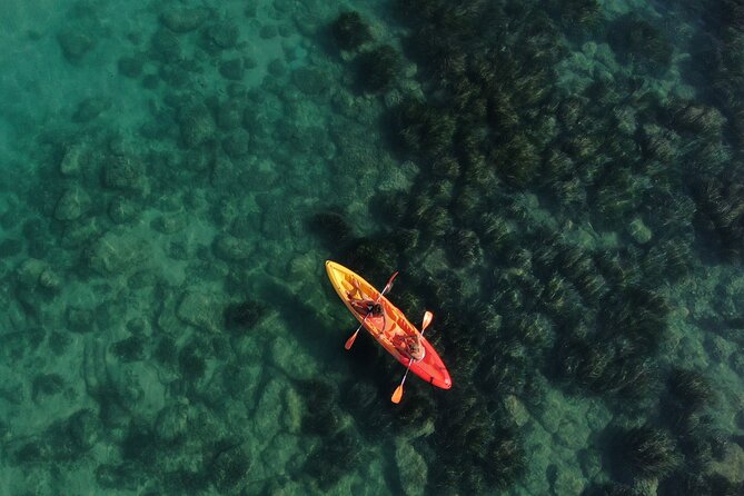 Kayak Tour: From Cala Manbrù to Torre Salsa Reserve - Key points to know before you book