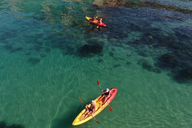 Kayak Tour: From Cala Manbrù to Torre Salsa Reserve - Is $45.65 a fair price?