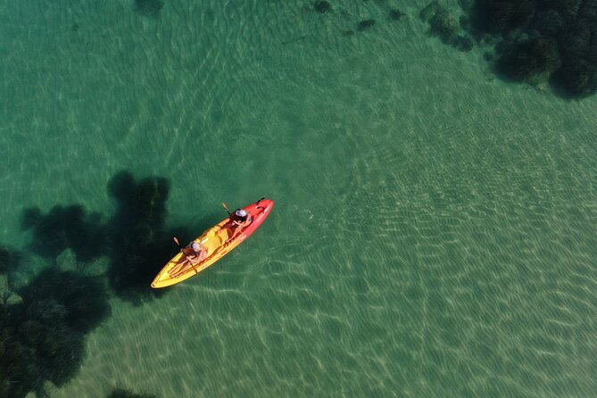 Kayak Tour: From Cala Manbrù to Torre Salsa Reserve - Paddling the 6km coastal route