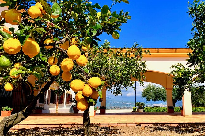 Leave the City Behind Tour with Guide Driver starts from Palermo - Key points to know before booking