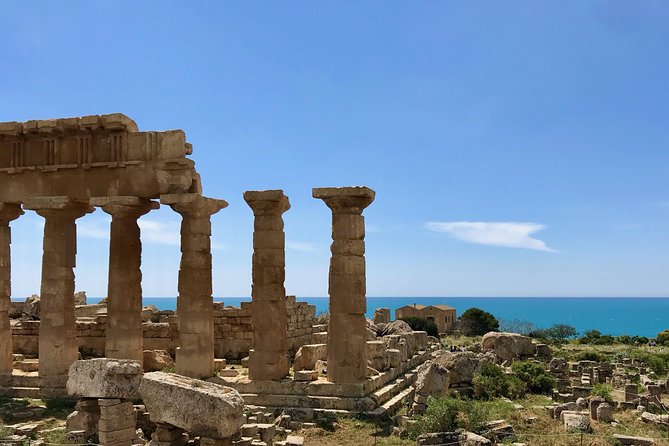 Leave the City Behind Tour with Guide Driver starts from Palermo - Castelvetrano and the Nocellara del Belice olive