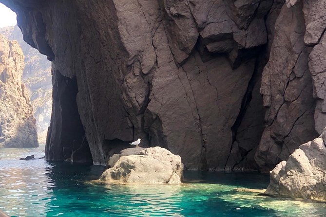 Lipari & Salina - Who should choose this boat day?