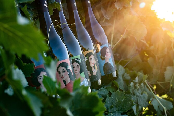 Marsala Tasting of 5 Sicilian organic wines - Five Sicilian grapes in one compact tasting