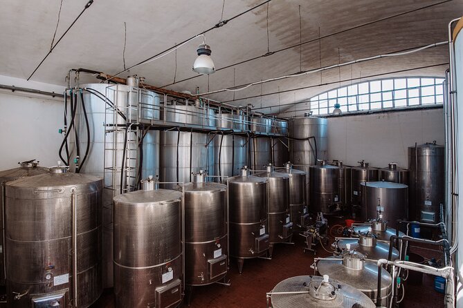Marsala Tasting of 5 Sicilian organic wines - Olive oil, bread, and the useful extra