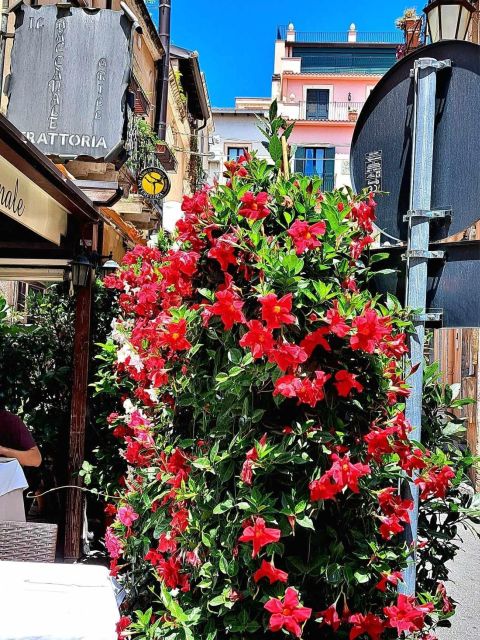 Messina, Savoca, Taormina e Castelmola - Who will get the most from this tour