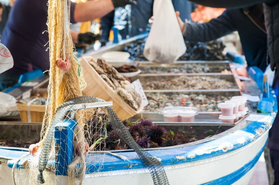 Messina: Share Your Pasta Love in Local's Home - How the hosts shape the experience