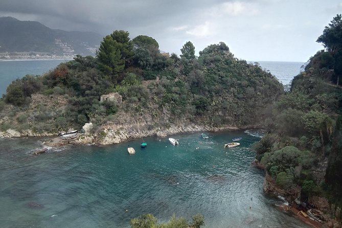 Messina Shore Special Tour of Taormina and Castelmola plus Panoramic Lunch - Should you book it?