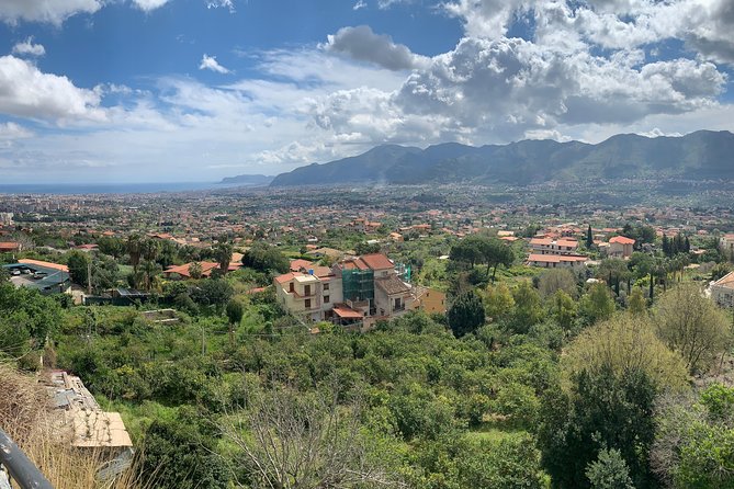 Monreale and Mondello from Palermo, Private Tour - What the private vehicle adds