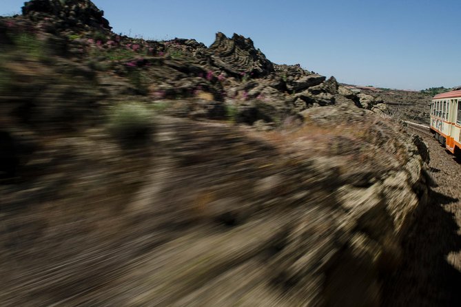 Mount Etna and Alcantara Gorges from Taormina - Alcantara Gorges: dramatic rock, limited time