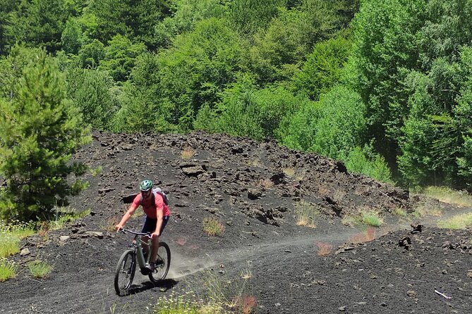 Mount Etna E-bike half-day tour - Starting in Milo at 9:30 am