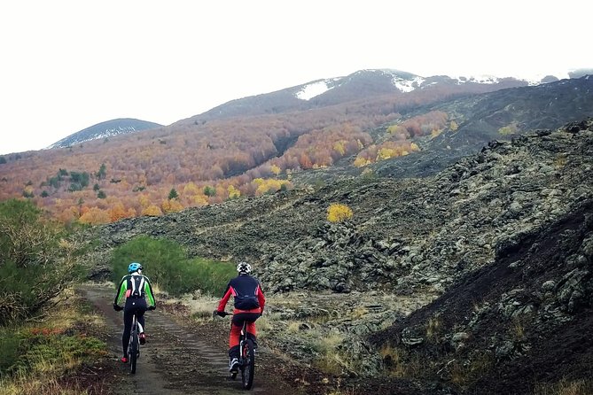 Mount Etna E-bike half-day tour - A change of pace in the Cerrita oak woods