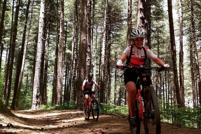Mount Etna E-bike half-day tour - Climbing toward Rifugio Citelli