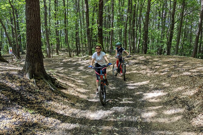 Mount Etna E-bike half-day tour - The views over Etna and the sea