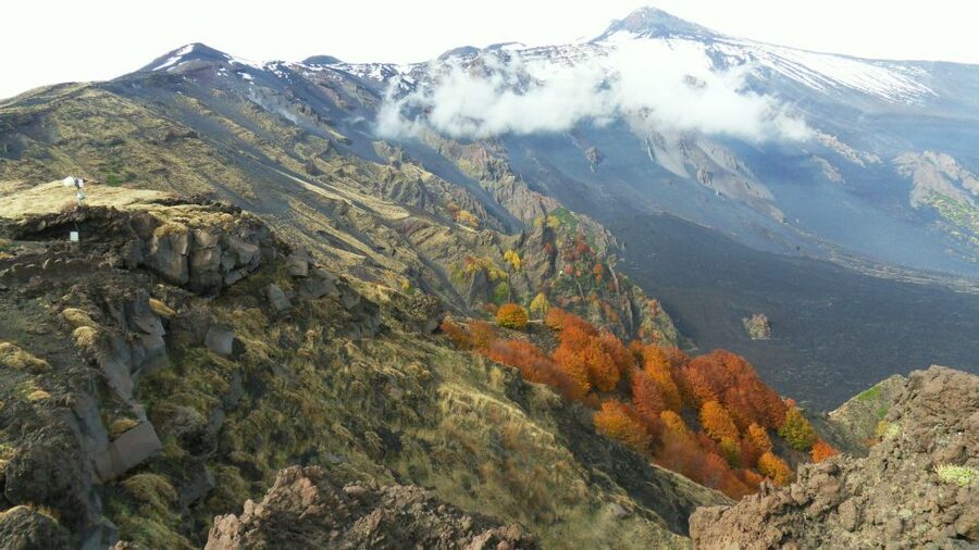 Mount Etna: Half-Day Guided Tour and Hike - The guides are a major part of the experience