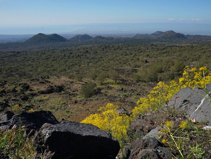 Mount Etna: Half-day Morning Jeep Tour - Valle del Bove, Etna’s great volcanic hollow