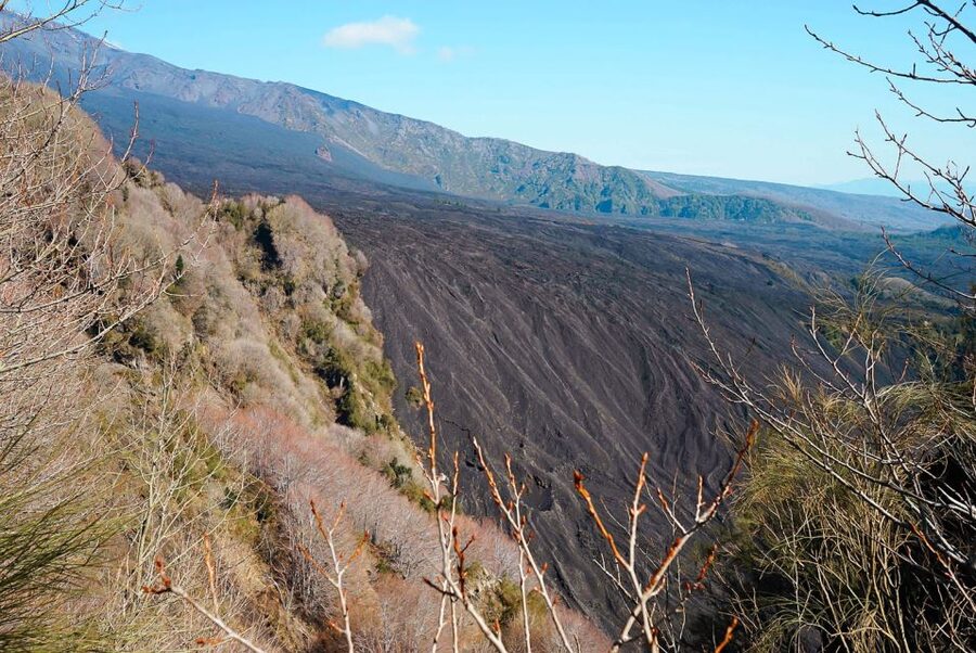 Mount Etna: Half-day Morning Jeep Tour - Who should book this Etna outing