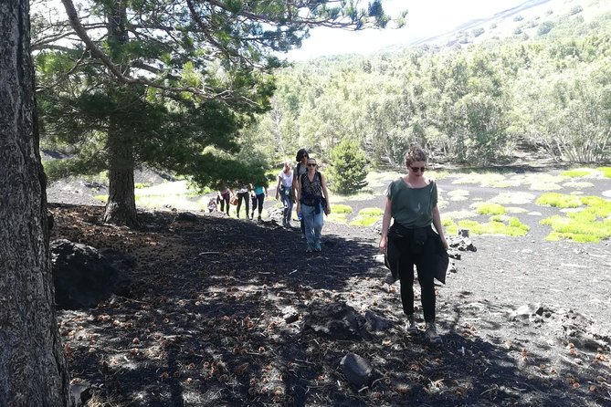 Mount Etna Half-Day Small Group Tour from Taormina - The chalet stop, sandwiches, wine, and almond tasting