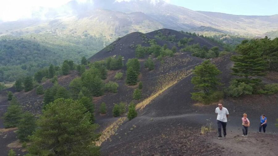 Mount Etna & Taormina Multi-language Tour from Palermo - Three hours back to Palermo