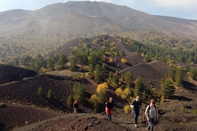 Mount Etna Tour at Sunset - Small Groups from Taormina - Why this Etna outing feels different from a quick viewpoint stop