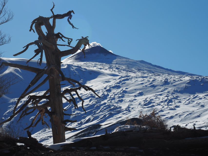 Mount Etna: Trek to the Craters of The 2002 Eruption - Lateral cones and craters along the route