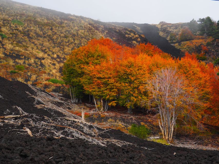 Mount Etna: Trek to the Craters of The 2002 Eruption - Who should book this Etna walk?