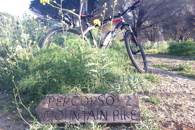 Mount Pellegrino MTB EXPERIENCE - Who Should Book This Ride