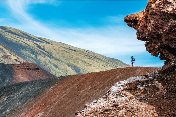 Mt. Etna and Taormina - Driver or guide?