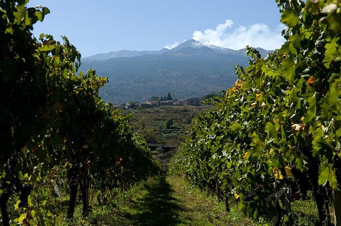 Mt Etna and Wine tasting tour from Catania - Enoteca Dell’Etna: wine, food, and a proper Sicilian pause