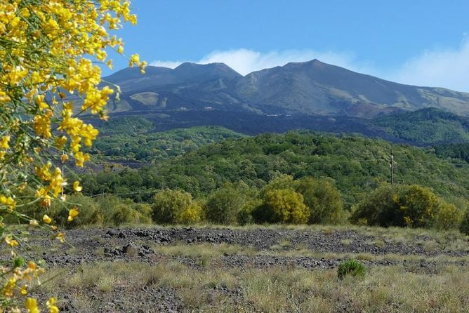 Mt. Etna nature and flavors half day Tour from Catania - The optional cable car and 4x4 ride to 2,900 meters
